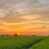 senja_05ku