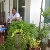 kobatipun