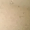 matrixx628