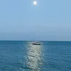 livepowee