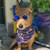 greatbuck