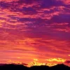 inaa_0246