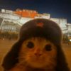 elgatomatcha