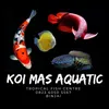 koimasaquatic