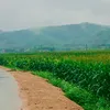 ahtuan71