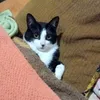 vivane_0