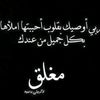 user38128461940095