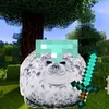 rashidedits35