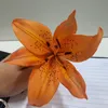 musisias