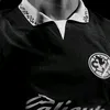 m_chvz2025