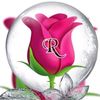 rafaqat_ali.786