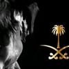 alhoooot22