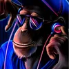 hans_12456