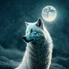 nueman.elhashmi
