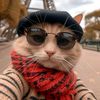 satoshicharts