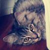 mariya.bz
