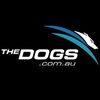 thedogs.com.au