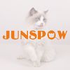 JUNSPOW