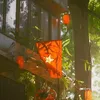 nhanvat_phu42