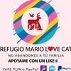 refugiolovecatdogperu