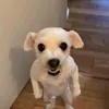 rehfreitasss