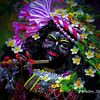 arpita.saha022