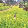 hadong565
