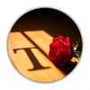 user810606554411