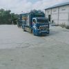 wiwinid6