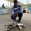 paktam_469