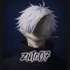 zn1c07