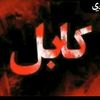 hije__raees