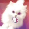 tranancute0806
