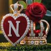 n304876