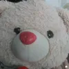 noah_1349