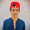 sardar.hassan815