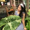 pat_piyawadee