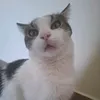 userq13dmi6i2y