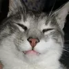 7natashka7