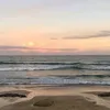 alicia_atts