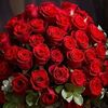 norahaj38