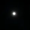 slf3006