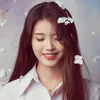 koreacinema.kurdish