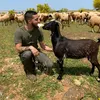 subeelcabrero