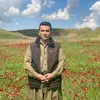 sirwan.ali628