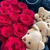 salii_0086