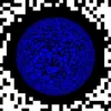 bruno_313_