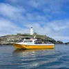 tigerlillystives