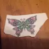 angibradyjantz