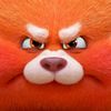 pjay_007
